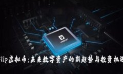 Flip虚拟币：未来数字资产
