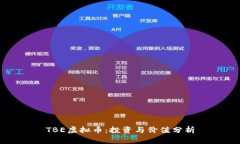 TBE虚拟币：投资与价值分