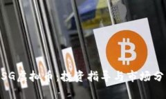 WSG虚拟币：投资指导与市