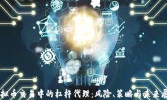 虚拟币交易中的杠杆代理