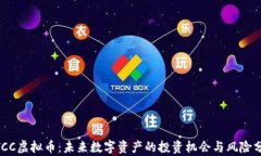 MTCC虚拟币：未来数字资产的投资机会与风险分析