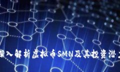 深入解析虚拟币SMN及其投