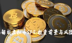 :全面解析虚拟币SFG：投资