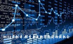 Wise虚拟币：探索未来数字