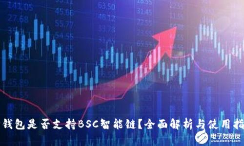 TP钱包是否支持BSC智能链？全面解析与使用指南