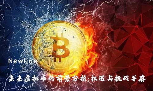 Newline

未来虚拟币的前景分析：机遇与挑战并存