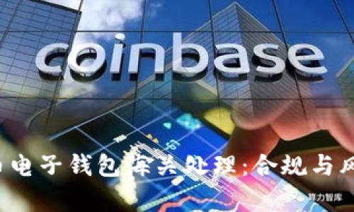  虚拟币电子钱包海关处理：合规与风险分析