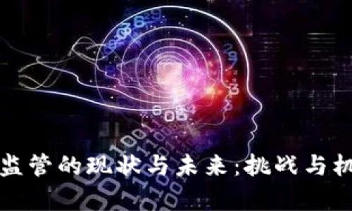 虚拟币监管的现状与未来：挑战与机遇并存