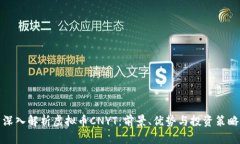 深入解析虚拟币CNYT：前景