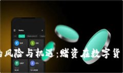 虚拟币投资的风险与机遇：赌资在数字货币市场