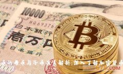 虚拟币的母币与子币关系解析：深入了解加密货
