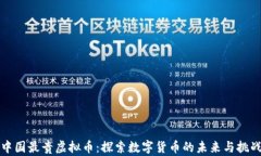 中国最贵虚拟币：探索数