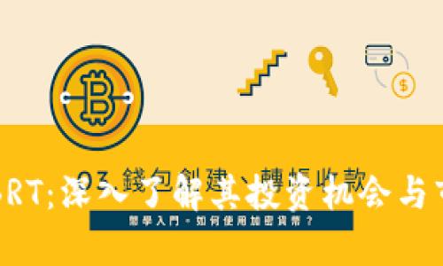 虚拟币BRT：深入了解其投资机会与市场前景