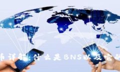 BNS虚拟币详解：什么是B