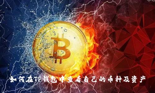 如何在TP钱包中查看自己的币种及资产