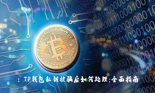 : TP钱包私钥被骗后如何处理：全面指南
