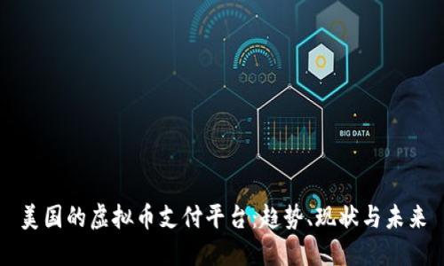 美国的虚拟币支付平台：趋势、现状与未来