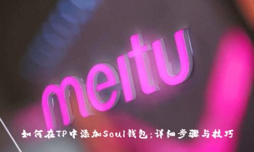 如何在TP中添加Soul钱包：详细步骤与技巧