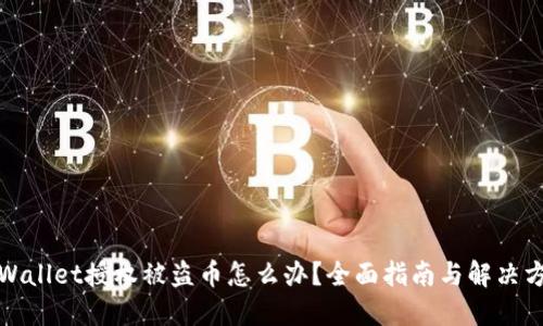 TPWallet授权被盗币怎么办？全面指南与解决方案