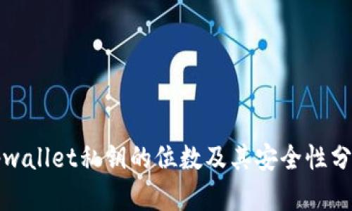tpwallet私钥的位数及其安全性分析