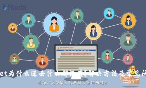 TPWallet为什么进去什么都没有？解决方法及常见问题解析