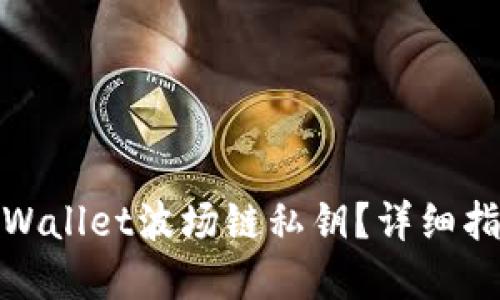 : 如何找回TPWallet波场链私钥？详细指南与解决方案