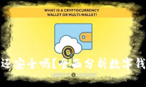 tpwallet还安全吗？全面分析数字钱包安全性